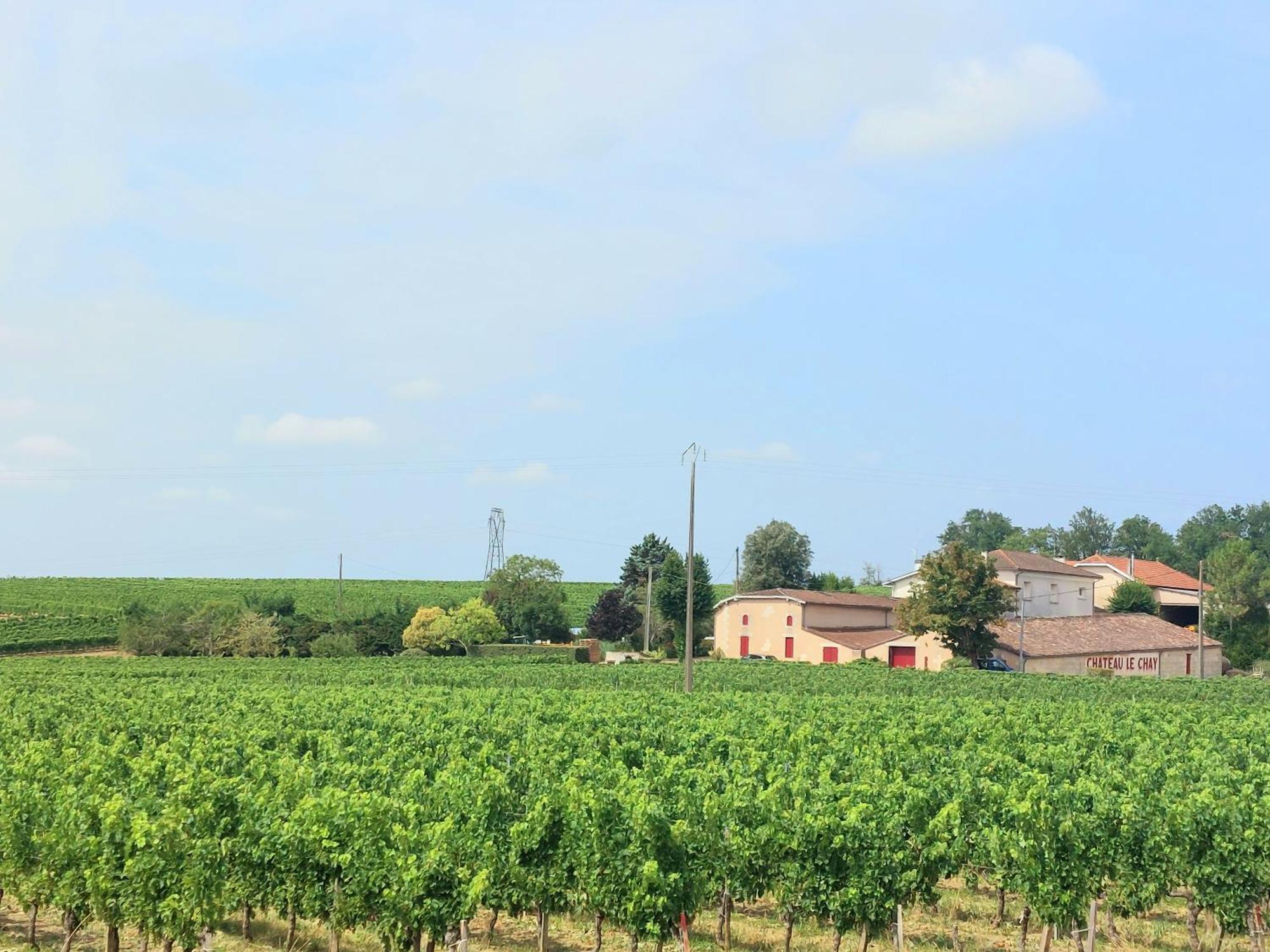 Duplex Cocoon - 10 Min De Blaye - 20 Min Cnpe - Wifi - Tv Hd Daire Saint-Seurin-de-Cursac Dış mekan fotoğraf